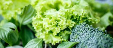 Folsaure In Diesen Lebensmitteln Steckt Besonders Viel Vitamin B9